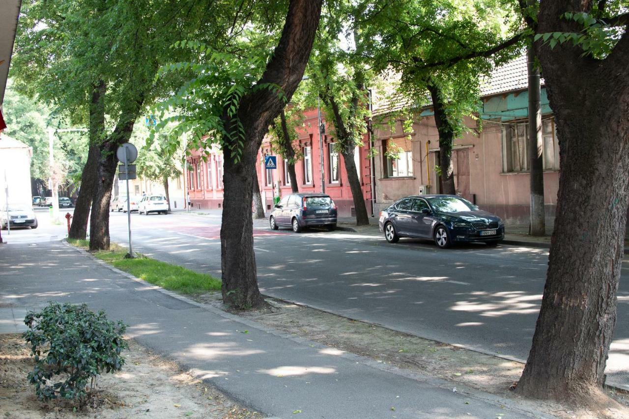Cozy Flat In The Heart Of The City Oradea Eksteriør bilde